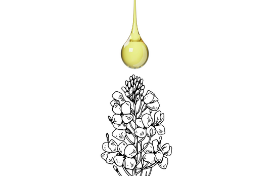 Is fresh2SKIN® sustainable?