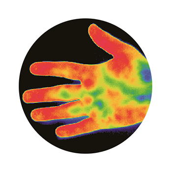 Hand WITHOUT Outlast® glove